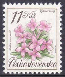1991  Naturschutz: Geschützte Flora - Rosmarinseidelbast