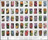 1992  Wildblumen