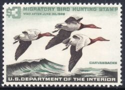 1965  Enten