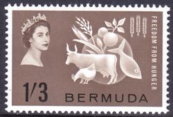 Bermuda-Inseln 1963  Kampf gegen den Hunger