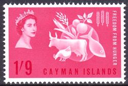 Kaiman-Inseln 1963  Kampf gegen den Hunger