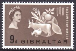 1963  Kampf gegen den Hunger