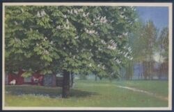 Landschaftsansicht - blühender Baum
