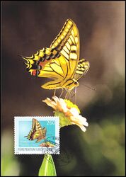 2010  317 - Schmetterlinge