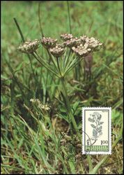1993  119 - Pflanzen