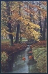 Landschaftsansicht - Herbstwald mit Bach