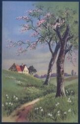 Landschaftsansicht - Frühling