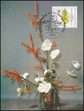 1984  Maximumkarte - Wohlfahrt: Orchideen