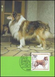 1996  Maximumkarten - Jugend: Hunderassen