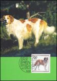 1996  Maximumkarten - Jugend: Hunderassen