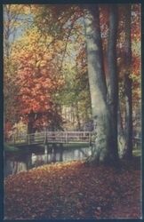 Landschaftsansicht - Herbstwald