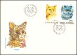 1993  Katzen