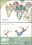 1988  83 - Olympische Sommerspiele in Seoul