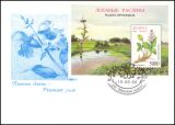 1996  Heilpflanzen