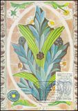 1982  Maximumkarten - Luca della Robbia