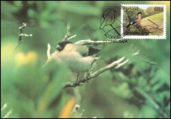 1986  Europa: Natur- und Umweltschutz