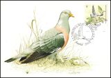 1991  Weltweiter Naturschutz: Silberhalstaube