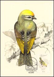 1987  Endemische Vögel