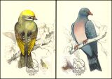 1987  Endemische Vögel
