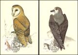1987  Endemische Vögel