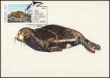 1983  Internationale Briefmarkenausstellung Brasiliana `83