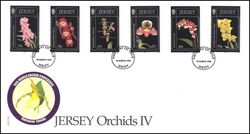 1999  Orchideen