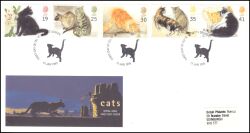 1995  Katzen