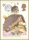 1977  Einheimische Wildtiere