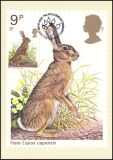 1977  Einheimische Wildtiere