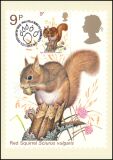 1977  Einheimische Wildtiere