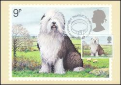 1979  Crufts-Hundeschau