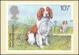 1979  Crufts-Hundeschau