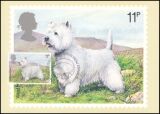 1979  Crufts-Hundeschau