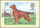 1979  Crufts-Hundeschau