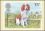 1979  Crufts-Hundeschau