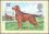 1979  Crufts-Hundeschau