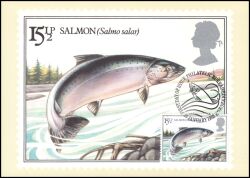 1983  Süßwasserfische