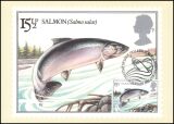 1983  Süßwasserfische