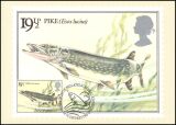 1983  Süßwasserfische