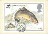 1983  Süßwasserfische