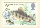 1983  Süßwasserfische