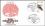 1972  Briefmarken-Sammler-Verein  NORIS e. V.