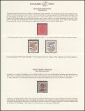 1886  Privatpostmarken