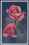 Blumenmotiv - Rosen