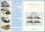 2005  Postamtliches Erinnerungsblatt - 100 Jahre Kraftpost