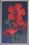Blumenmotiv - Hibiscus