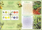 2010  Postamtliches Erinnerungsblatt - Duftendes Obst