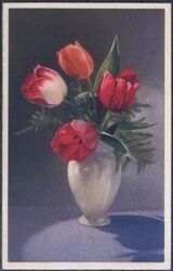 Blumenmotiv - Tulpen