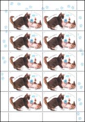 2004  Jugend: Katzen