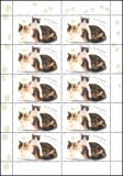 2004  Jugend: Katzen